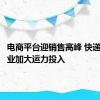 电商平台迎销售高峰 快递物流企业加大运力投入