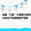 全国“三夏”大规模小麦机收结束 小麦主产区夏粮增产明显