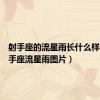 射手座的流星雨长什么样子（射手座流星雨图片）
