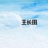 王长田
