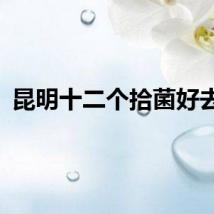 昆明十二个拾菌好去处