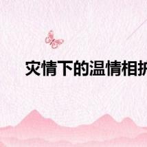 灾情下的温情相护