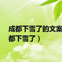 成都下雪了的文案（成都下雪了）