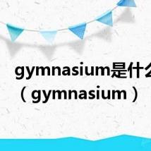 gymnasium是什么意思（gymnasium）