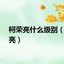 柯荣亮什么级别（柯荣亮）