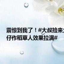 震惊到我了!#大叔捡来大型公仔作稻草人效果拉满#
