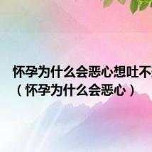 怀孕为什么会恶心想吐不想吃饭（怀孕为什么会恶心）