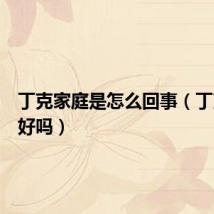 丁克家庭是怎么回事（丁克家庭好吗）
