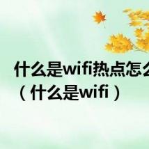 什么是wifi热点怎么使用（什么是wifi）