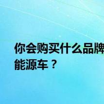 你会购买什么品牌的新能源车？