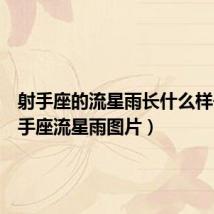 射手座的流星雨长什么样子(射手座流星雨图片)