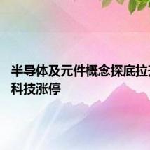 半导体及元件概念探底拉升 晶方科技涨停