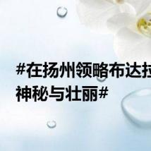 #在扬州领略布达拉宫的神秘与壮丽#