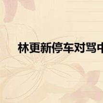 林更新停车对骂中