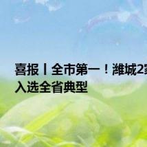 喜报丨全市第一!潍城2家企业入选全省典型