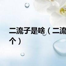 二流子是啥（二流子一个）