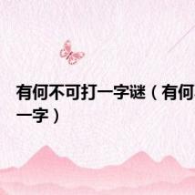 有何不可打一字谜(有何不可打一字)