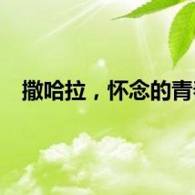 撒哈拉，怀念的青春