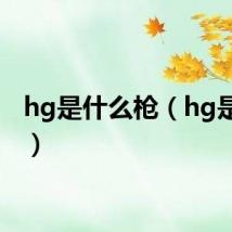 hg是什么枪（hg是什么）