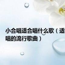 小合唱适合唱什么歌（适合小合唱的流行歌曲）