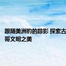 跟随美洲豹的踪影 探索古代墨西哥文明之美