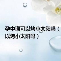 孕中期可以烤小太阳吗(孕妇可以烤小太阳吗)