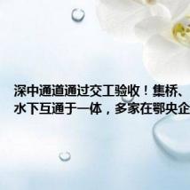 深中通道通过交工验收！集桥、岛、隧、水下互通于一体，多家在鄂央企参建