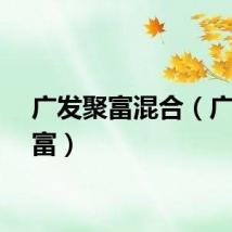 广发聚富混合（广发聚富）