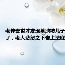 老伴去世才发现墓地被儿子儿媳卖了，老人悲怒之下告上法庭
