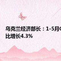 乌克兰经济部长：1-5月GDP同比增长4.3%
