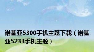 诺基亚5300手机主题下载（诺基亚5233手机主题）