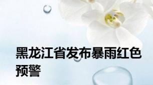 黑龙江省发布暴雨红色预警