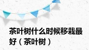 茶叶树什么时候移栽最好（茶叶树）