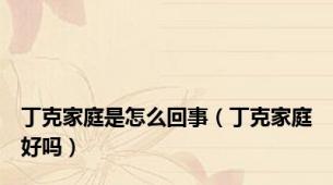 丁克家庭是怎么回事（丁克家庭好吗）
