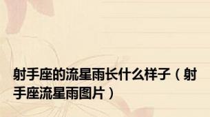 射手座的流星雨长什么样子（射手座流星雨图片）