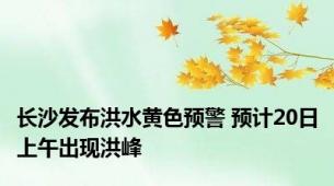 长沙发布洪水黄色预警 预计20日上午出现洪峰
