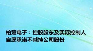 柏楚电子：控股股东及实际控制人自愿承诺不减持公司股份