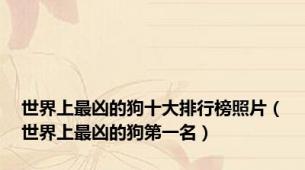 世界上最凶的狗十大排行榜照片（世界上最凶的狗第一名）