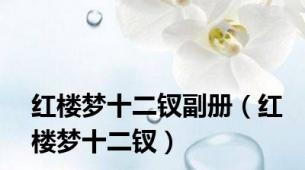 红楼梦十二钗副册（红楼梦十二钗）