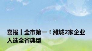 喜报丨全市第一！潍城2家企业入选全省典型