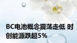 BC电池概念震荡走低 时创能源跌超5%