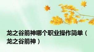 龙之谷箭神哪个职业操作简单（龙之谷箭神）
