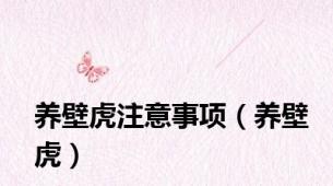 养壁虎注意事项（养壁虎）