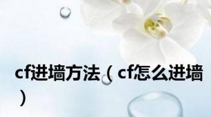cf进墙方法（cf怎么进墙）