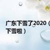 广东下雪了2020（广东下雪啦）