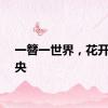 一簪一世界，花开花未央