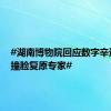#湖南博物院回应数字辛追夫人撞脸复原专家#