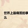 世界上最痛苦的事是什么