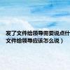 发了文件给领导需要说点什么（发文件给领导应该怎么说）