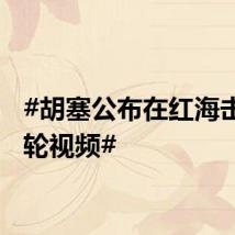 #胡塞公布在红海击沉货轮视频#